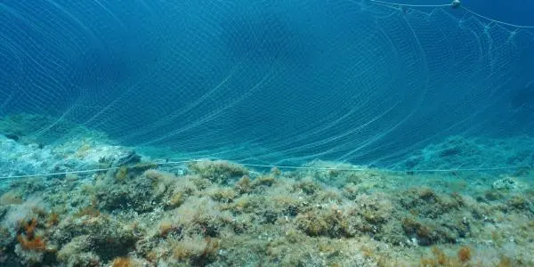 underwater search missions