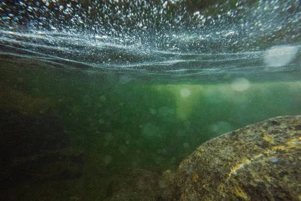 murky water backscatter underwater camera